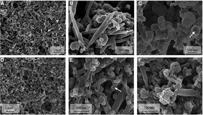 Feasibility of the preparation of cochleate suspensions from naturally derived phosphatidylserines